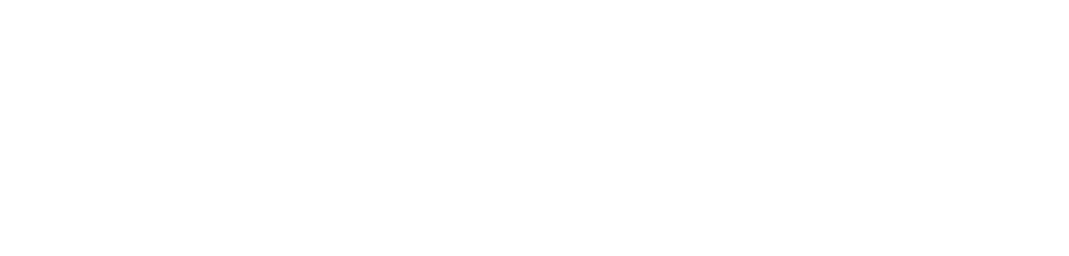 FLIP